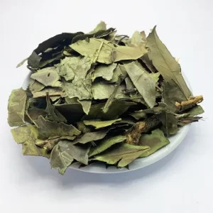 Chá Verde